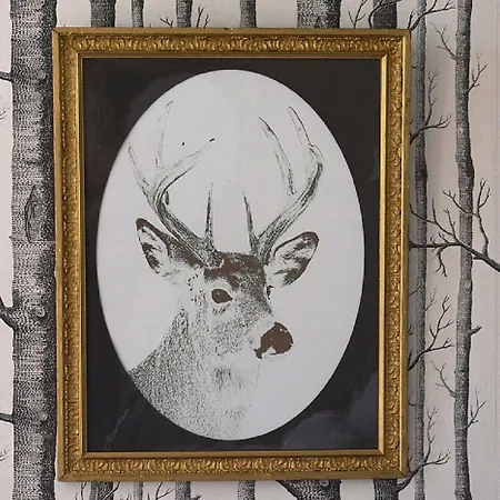 La Tillaie Et Sauna 4* Pont-l'Abbe-d'Arnoult