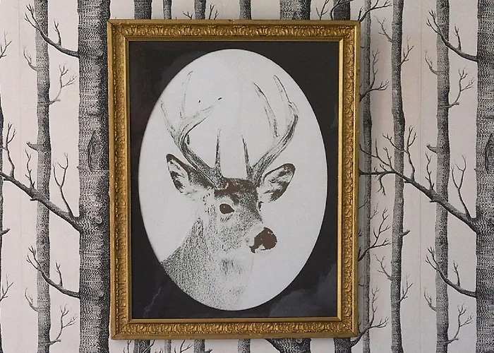 La Tillaie Et Sauna 4* Pont-l'Abbe-d'Arnoult